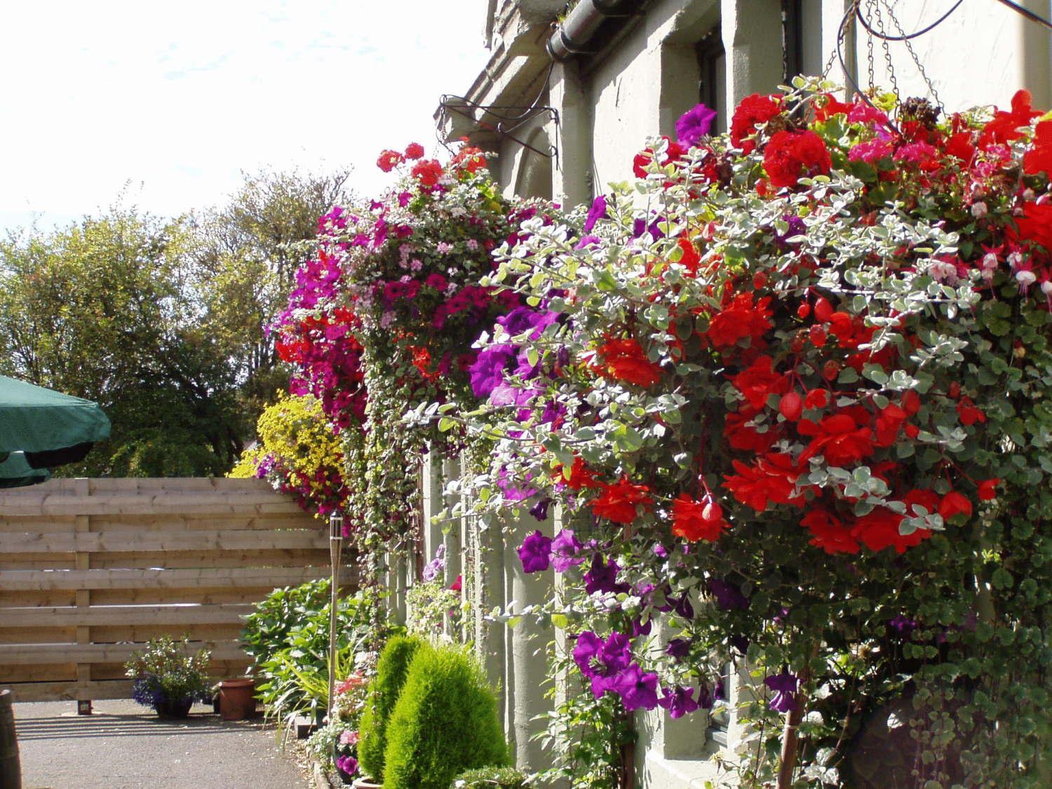 Auld Mill House Hotel Dunfermline Esterno foto